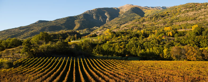 Vigne di Quart, Valle d'Aosta