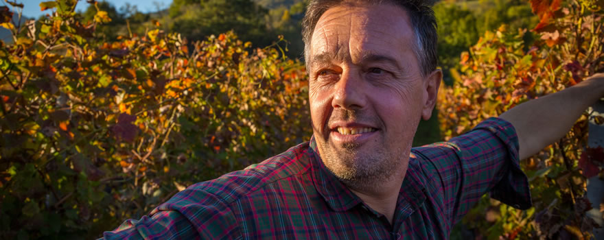 Elio Ottin durante la vendemmia